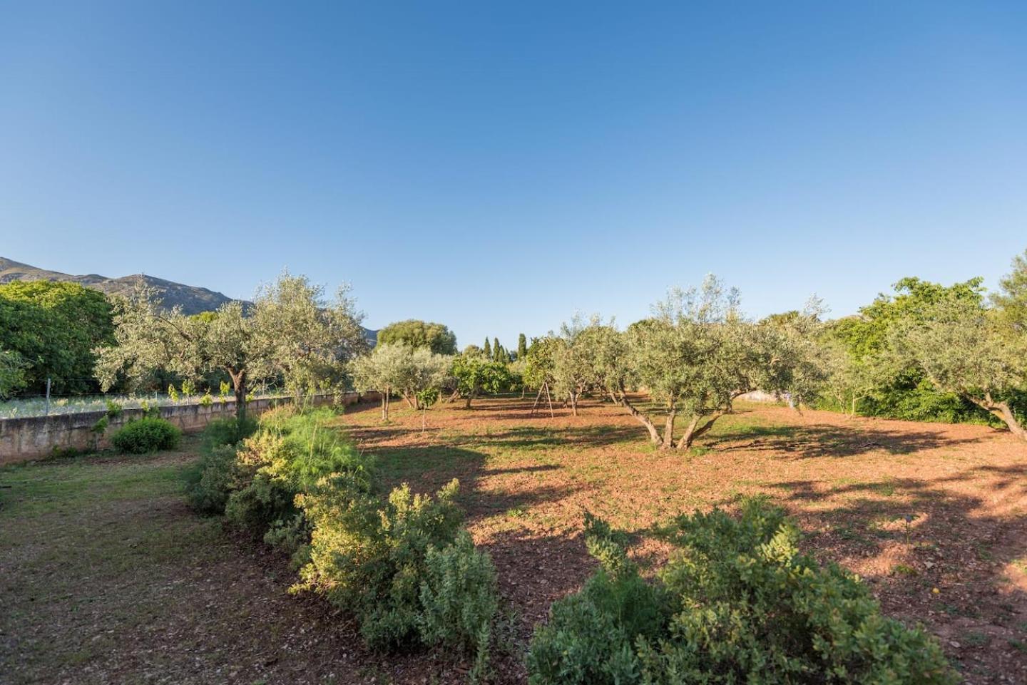Cuixach In With Wifi Villa Pollença
